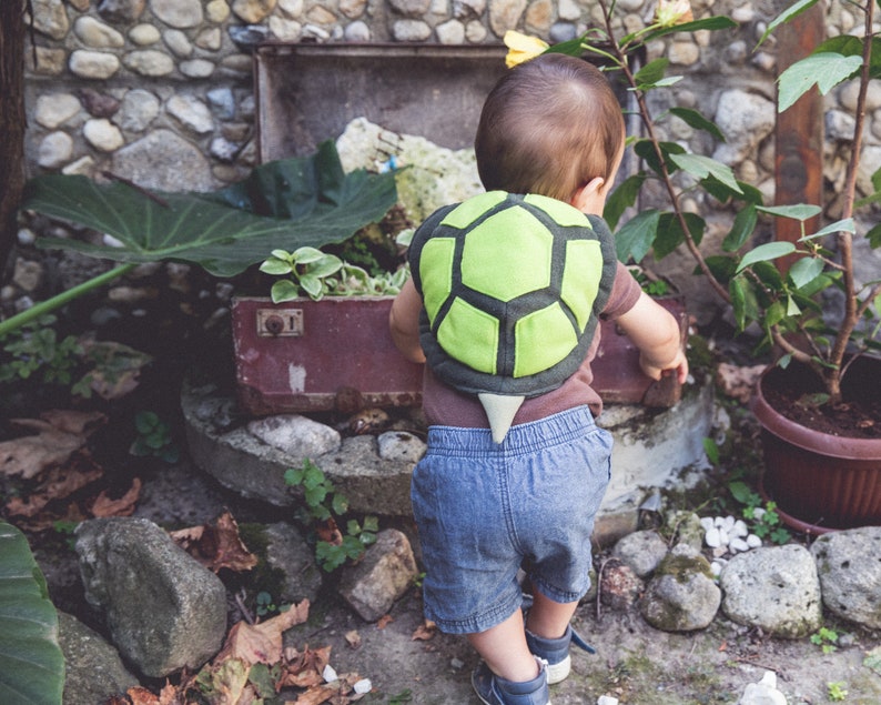 Turtle Costume, Turtle Shell Halloween Costume, Tortoise Costume image 5