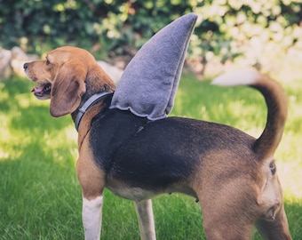 Haifischflosse für Hunde, Hund Halloween-Kostüm, Cosplay Accessoire, Hai-Kostüm für Haustiere, kleiner mittelgroßer Hund, Geschenk für Katze oder Hund