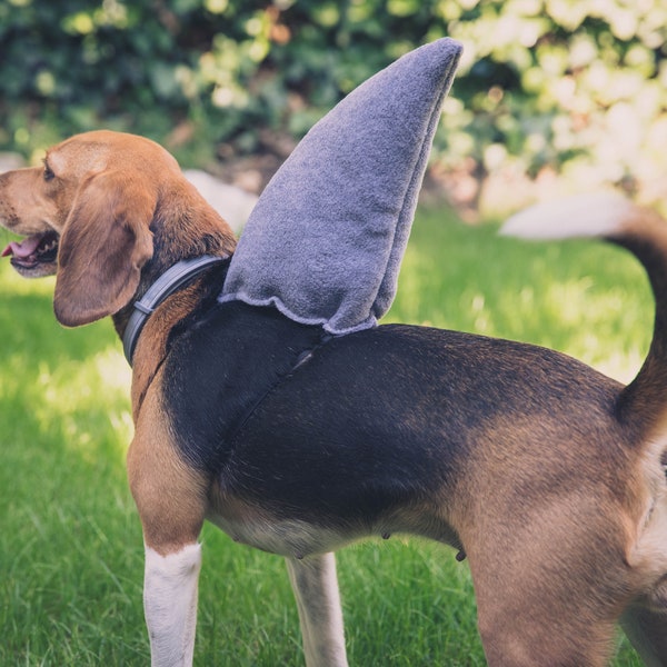 Aileron de requin pour chiens, costume d’Halloween pour chien, accessoire de cosplay, costume de requin pour animaux de compagnie, petit chien de taille moyenne, cadeau pour chat ou chien