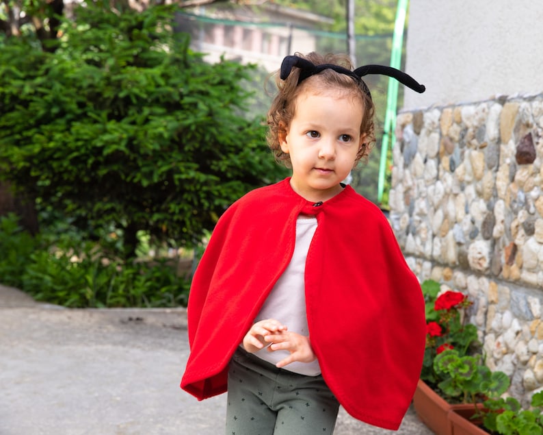 Ladybug Costume, Toddler Girl Halloween Costume, Ladybird Red Cape Costume, Gift for Preschool Girl image 6