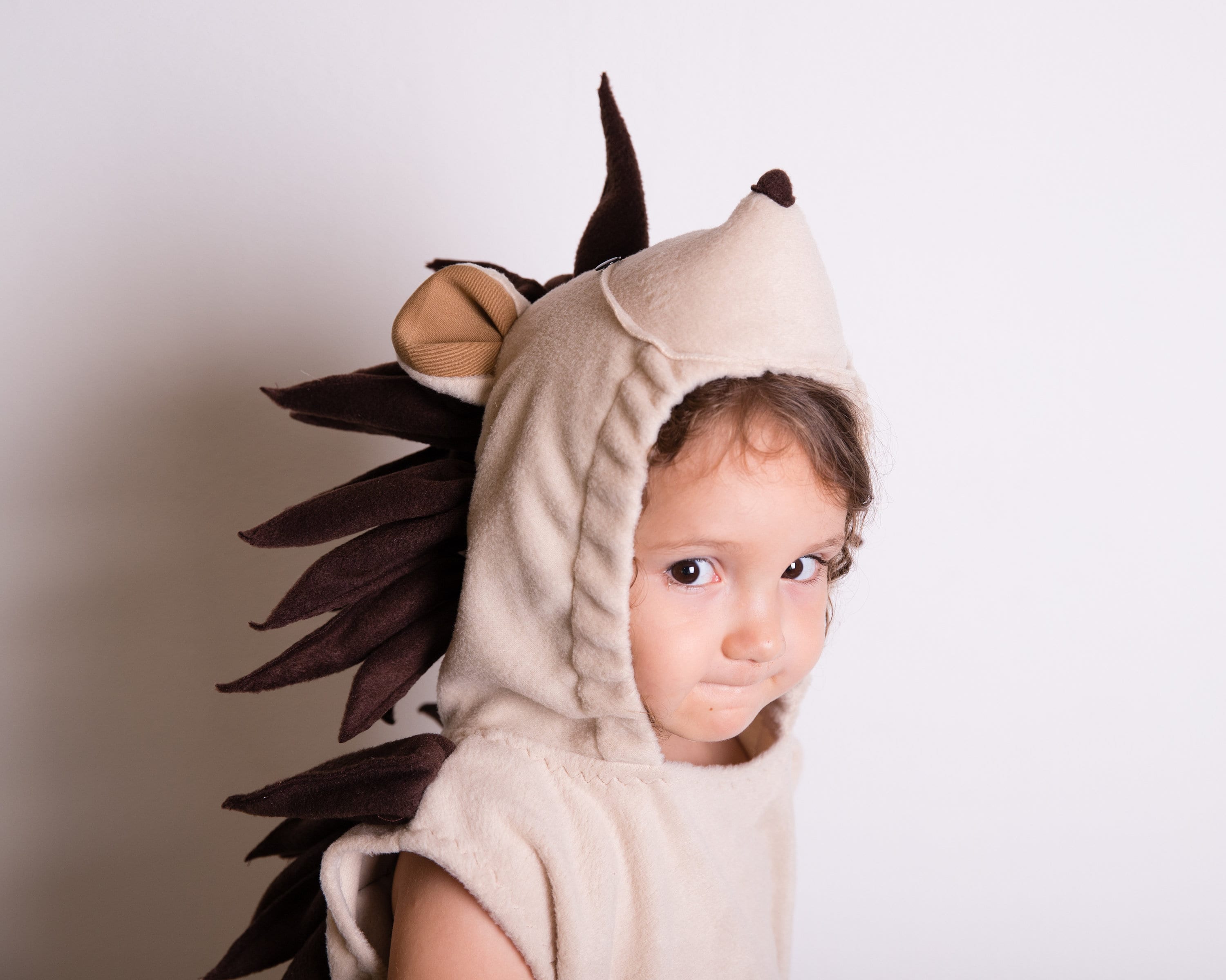 Toddler Halloween Costume Hedgehog Costume Party Porcupine Etsy Canada