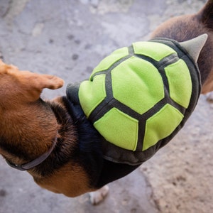 Op de afbeelding: Een bruine en zwarte hond die een groen en zwart schildpadkostuum draagt. Het kostuum heeft een schildvormige rug met een puntige staart.