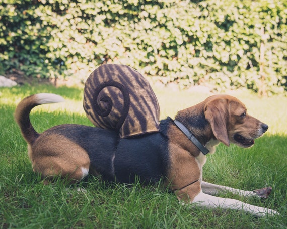 Hond Kostuum Slak Halloween Kostuum voor Huisdieren Kat Kostuum Kleine Hond Middelgrote Hond Grote Hond Kostuum Etsy Nederland