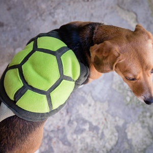 Schildpadkostuum voor honden - het perfecte cadeau voor dierenliefhebbers, huisdier Halloween-kostuum, grappig hondenkostuum afbeelding 2