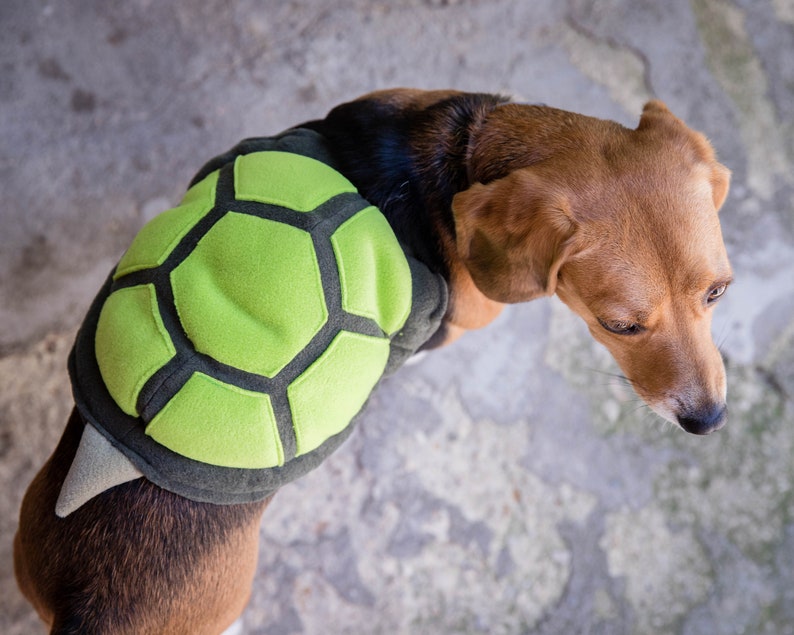 Schildpadkostuum voor honden - het perfecte cadeau voor dierenliefhebbers, huisdier Halloween-kostuum, grappig hondenkostuum afbeelding 2