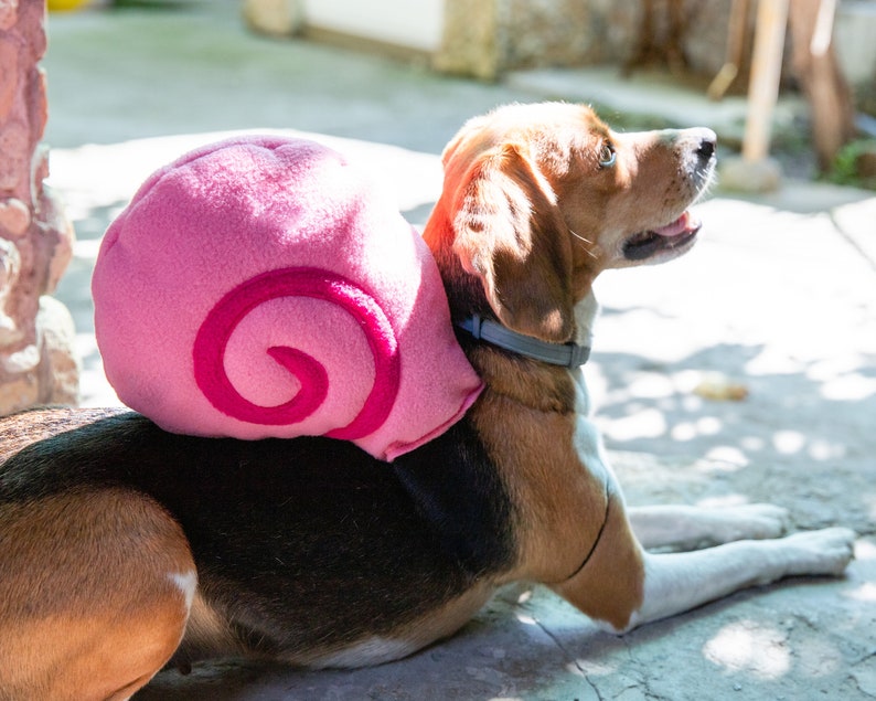 Rolig hunddräkt, snigel Halloween-dräkt för husdjur, kattdräkt, söt husdjursoutfit bild 1