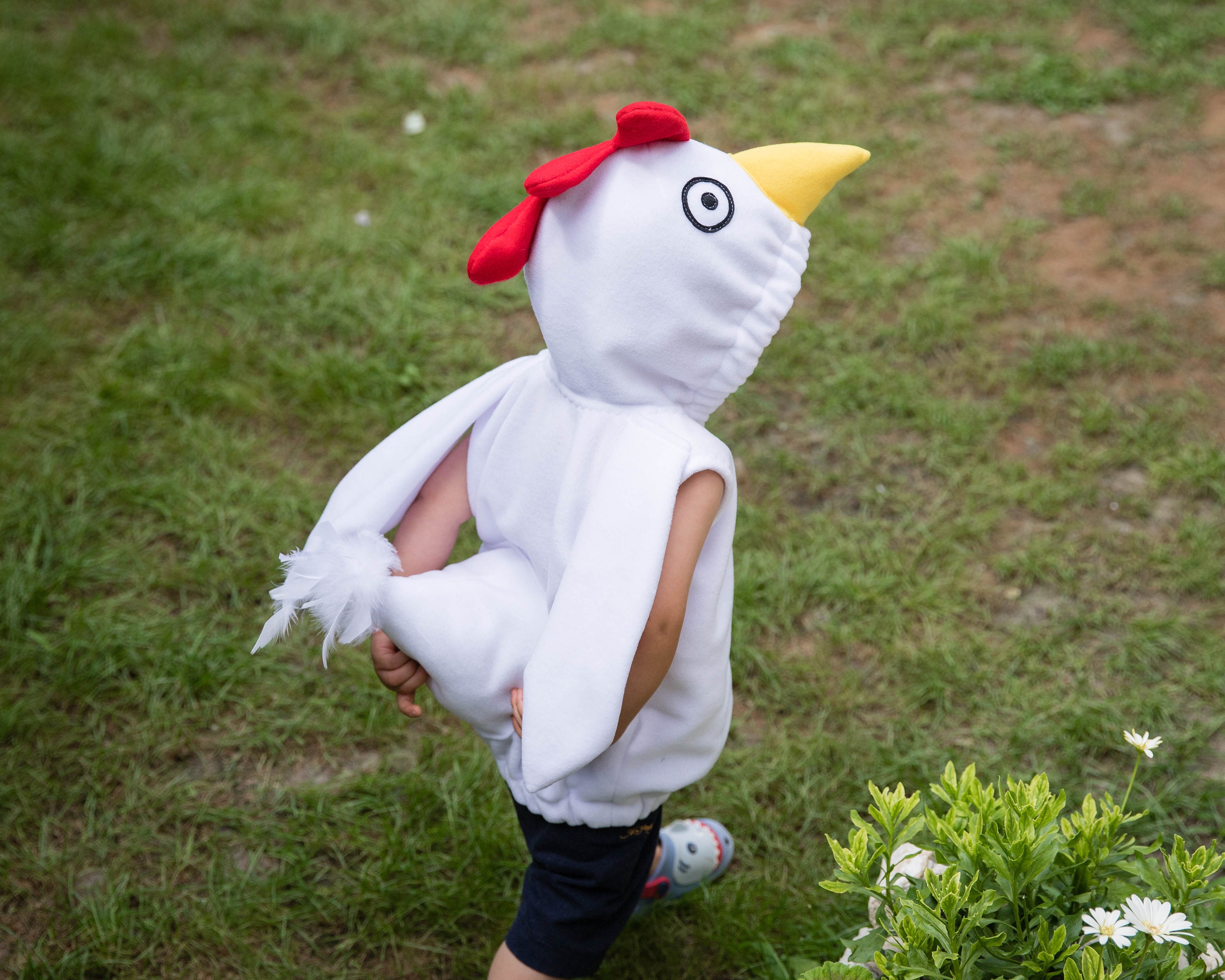 Personne vêtue d'un costume de poulet s'exécutant sur une plage de Cromer, Norfolk, East Anglia, Angleterre Photo Stock - Alamy Personne vêtue d'un costume de poulet s'exécutant sur une plage de Cromer, Norfolk, East Anglia, Angleterre Photo Stock - Alamy