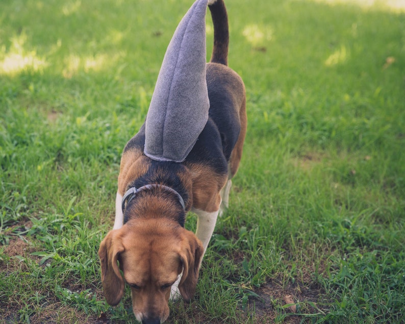 Shark Fin for Dogs Dog Halloween Costume Cosplay Accessory Etsy