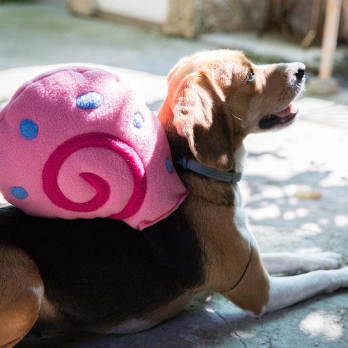 cute puppy halloween costumes
