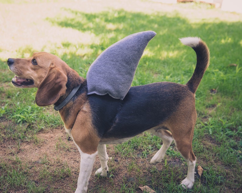 Shark Fin for Dogs Dog Halloween Costume Cosplay Accessory Etsy