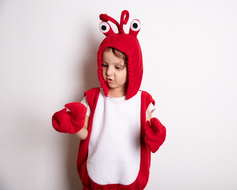 Kids Halloween Costume, Red Crab Costume For Toddler Boys or Girls image 3