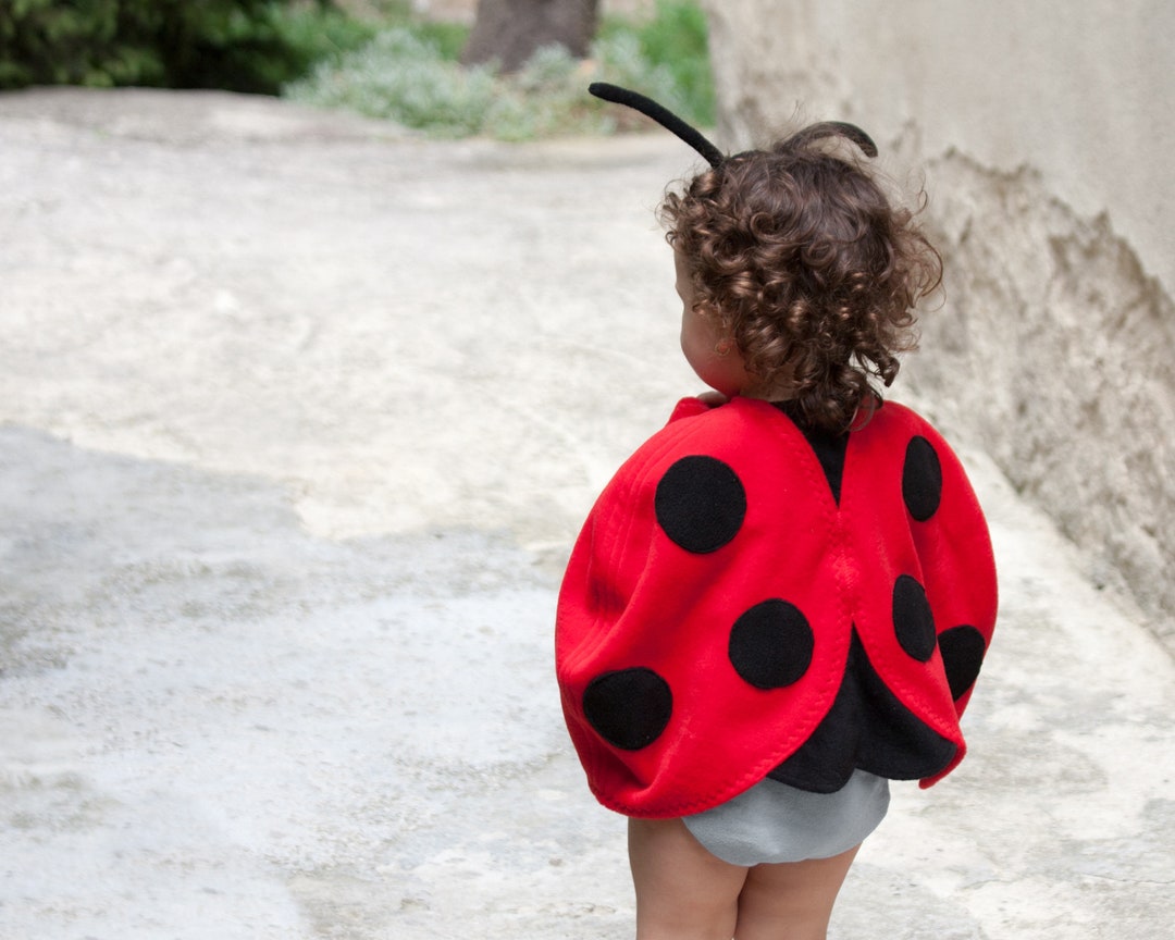 Ladybug Costume, Toddler Girl Halloween Costume, Ladybird Red Cape Costume,  Gift for Preschool Girl 