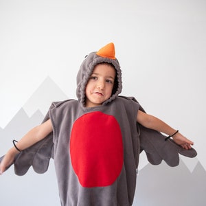 Gray Red Breasted Robin Costume - Halloween Bird Costume for Boys or Girls, Sparrow Costume