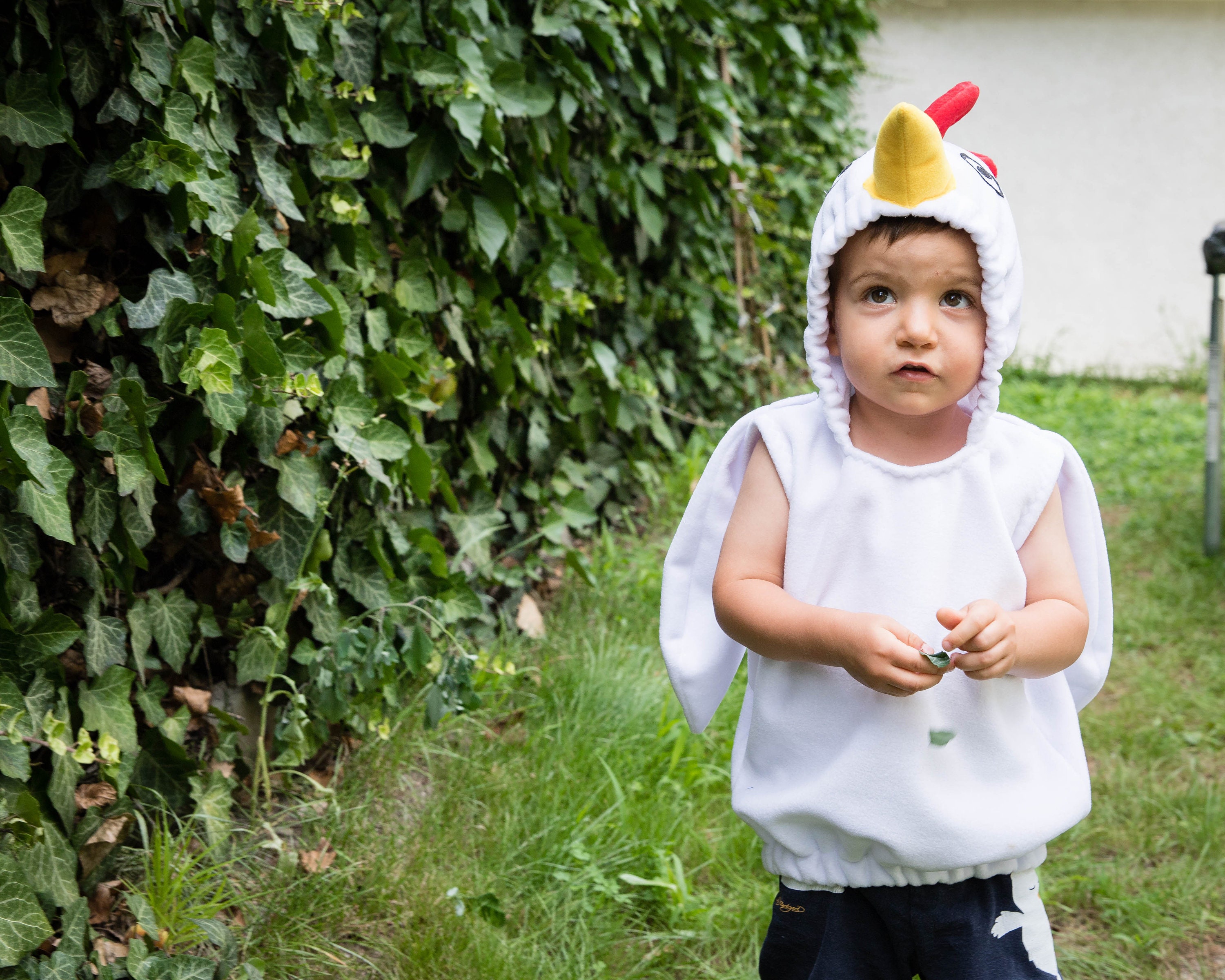 Generisch 2026 Adorable costume de poulet pour nouveau-né fille garçon Halloween Adorable costume de poulet pour bébé avec combinaison Thanksgiving Noël carnaval anniversaire cosplay (blanc, 9-12 mois