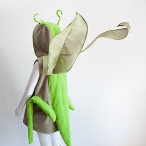 Grasshopper Children Costume, Halloween Costume for Toddler Boy or Girl, Toddler Cricket Costume with Wings