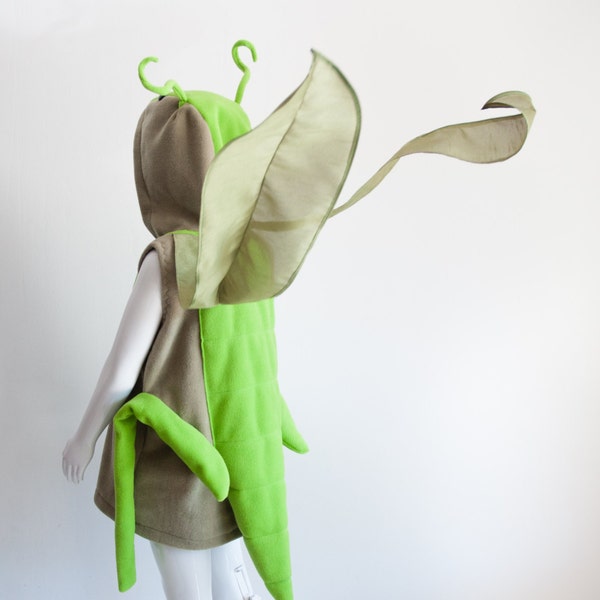 Boy 6 Halloween Costume Etsy Hong Kong