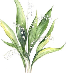 May Birth Month Flower Print with Lily of the Valley in Watercolor