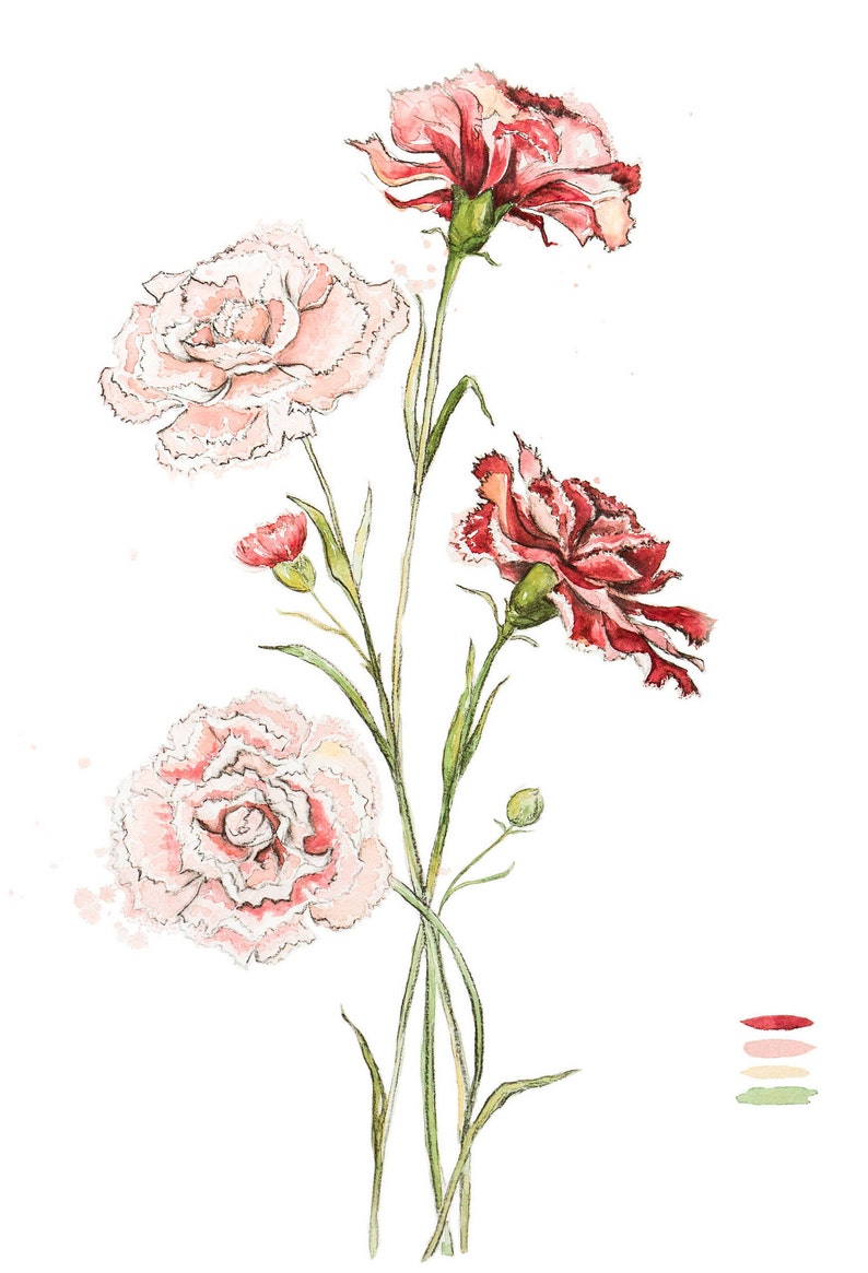 Carnation Print Carnations Floral Wall Art Nursery Art - Etsy