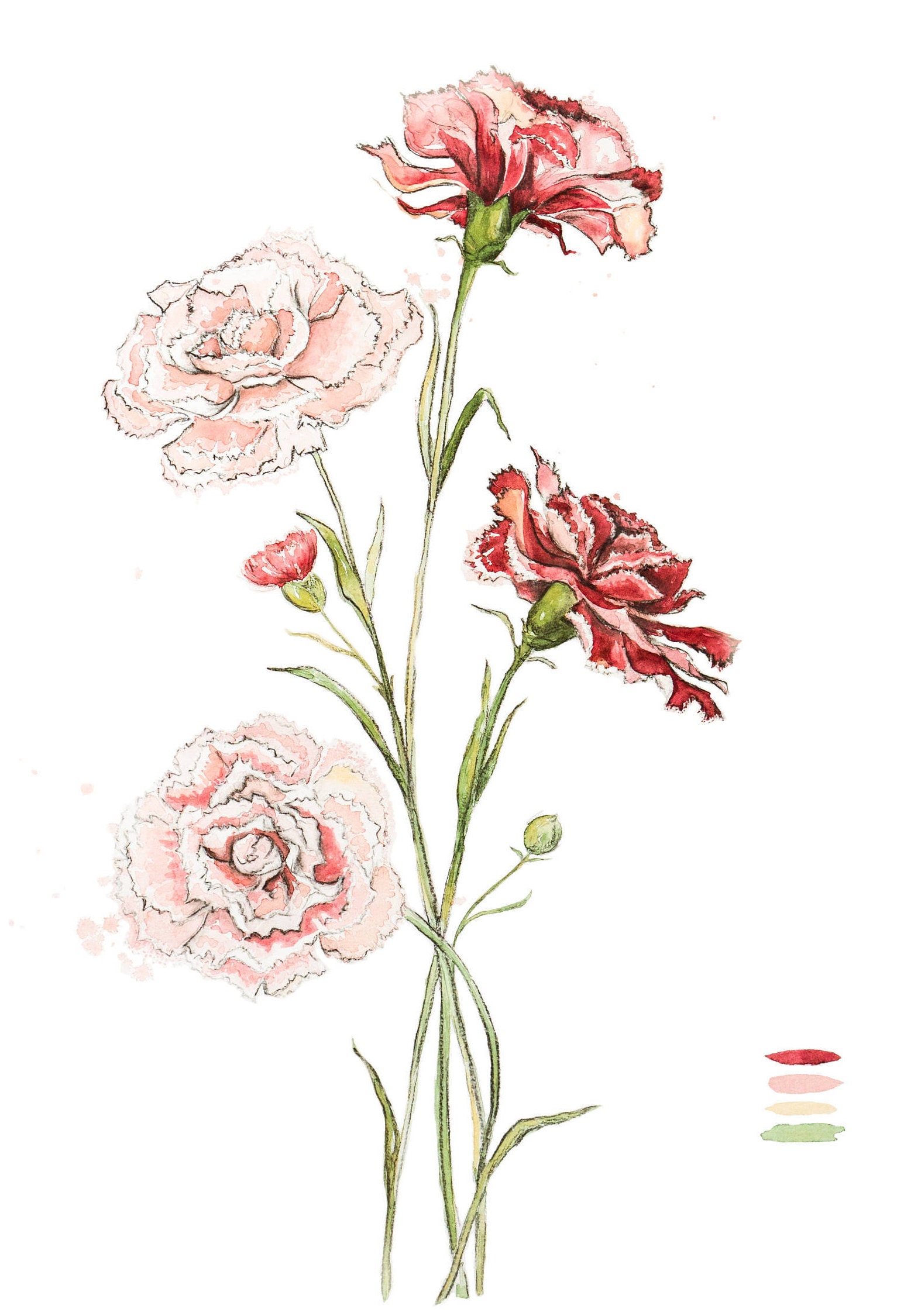 Carnation Print Carnations floral wall art Nursery Art | Etsy