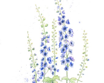 Image of Delphinium Summer Cloud flower silhouette