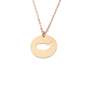 Sterling silver rose gold plated country pendant, Stainless steel chain, Any map necklace, disc pendant with map cut