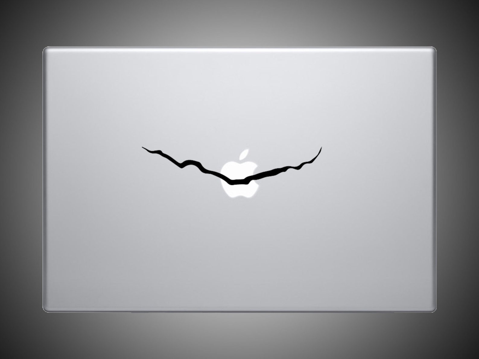 Doctor Who Crack The Crack in Amy's Wall Vinyl Decal Etsy