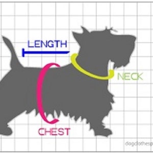 Custom Dog Harness Dog Clothes Dog Dress Breakwater Dog Harness Dog Harnesses Cute Dog Clothes image 4