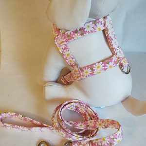 Custom Dog Harnesses and Leashes - Dog Leash - Daisy - Dog Accessories - Dog Harness - Custom Dog Harness - Small Dog Harness and Leash