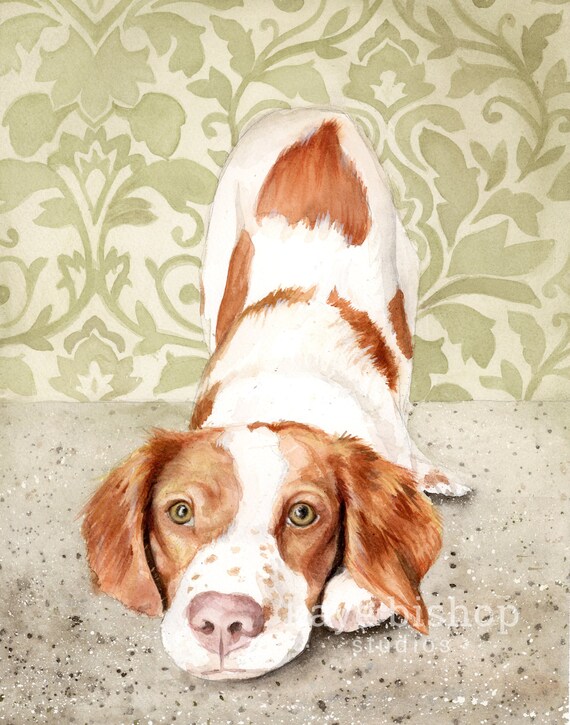 brittany spaniel stuffed animal