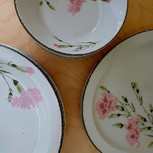 Pode incluir: Um conjunto de louça de cerâmica branca com um design floral com cravos rosa e folhas verdes. Os pratos têm uma borda castanha.