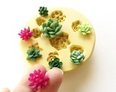 Miniature Succulents Mold - DIY Terrarium - Food Safe Silicone Succulents Mold - Polymer Clay Molds
