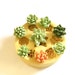 Super Tiny Miniature Succulents Mold for Jewelry Making and Precious Metal Clay Art 