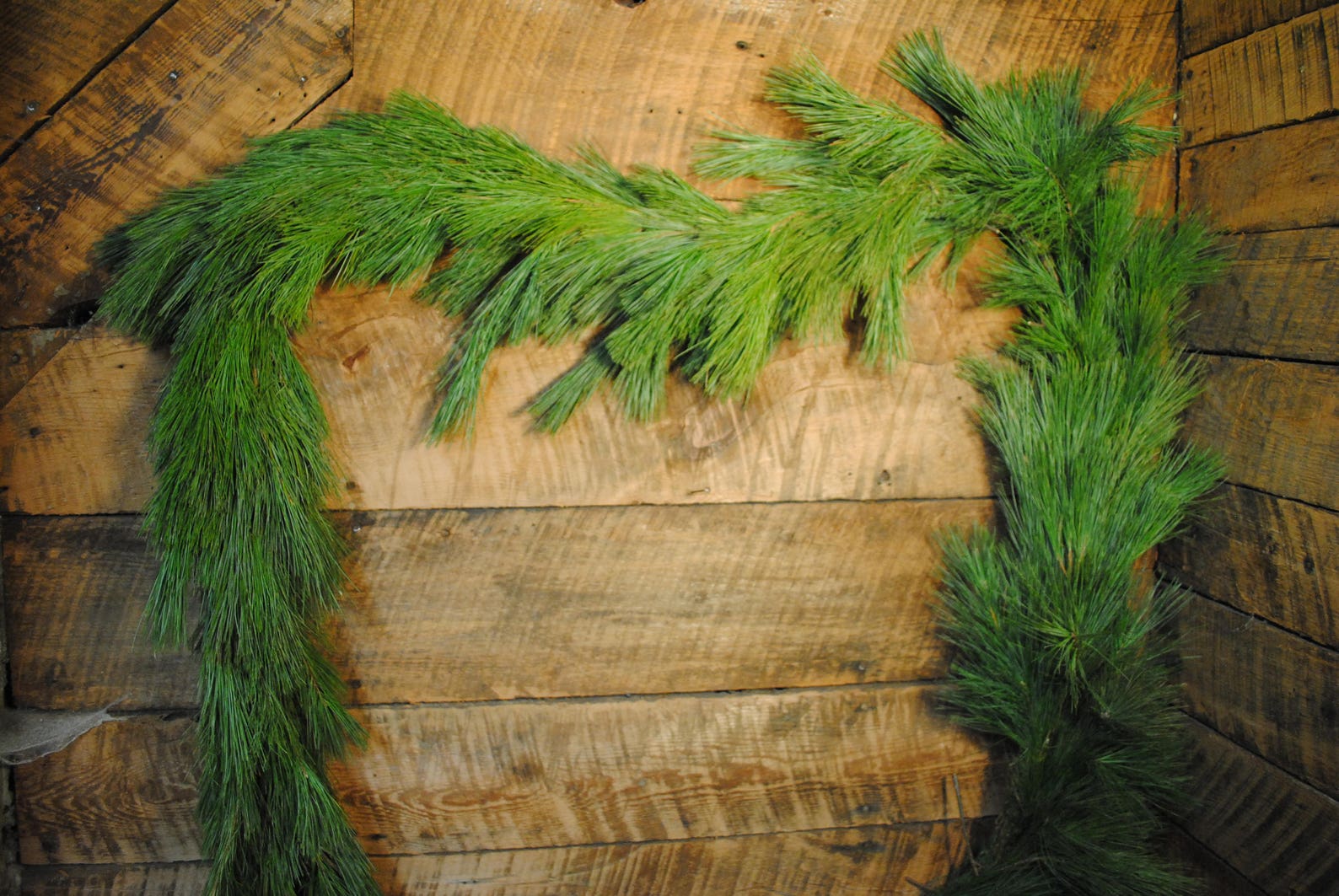White Pine Garland Etsy