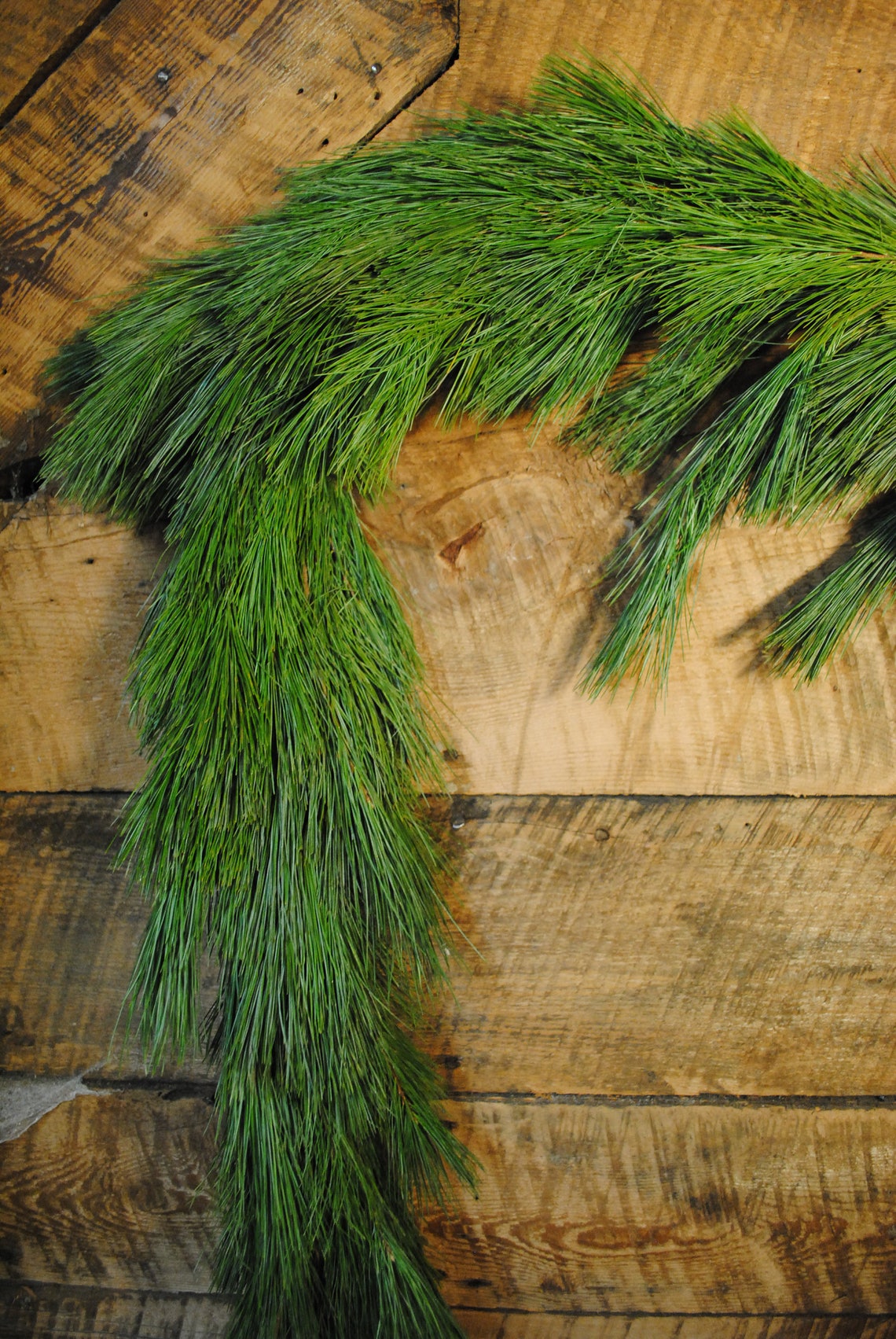 White Pine Garland Etsy