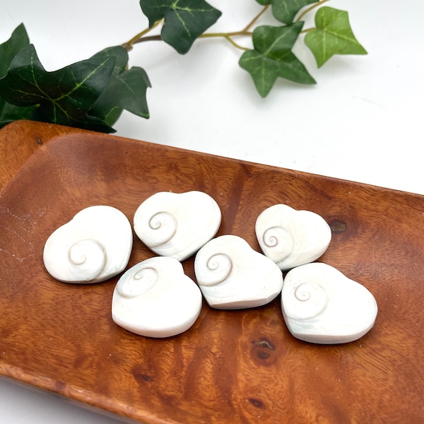 Beautiful Shiva Shell Palm Stone Heart Shape