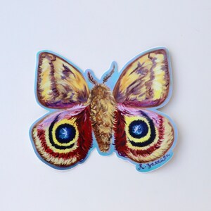 Moth Insect Sticker - Insect Decal Art - Butterfly Laptop decal or bumper sticker