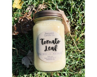 TOMATO LEAF Soy Candle in Mason Jar Unique Gift