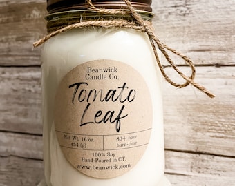 TOMATO LEAF Soy Candle in Mason Jar Unique Gift