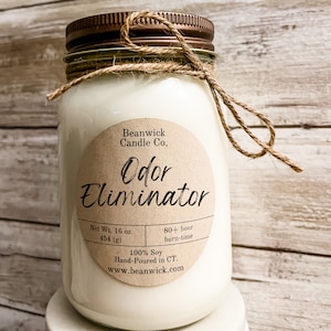 ODOR ELIMINATOR Soy Candle in Mason Jar Unique Gift