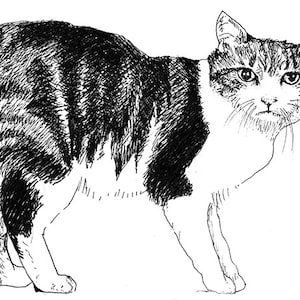 Manx Cat Breed Black/White Print