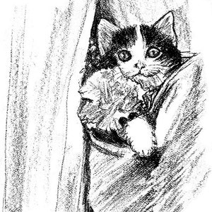 Druk czarno biały rysunek kieszeni Cat