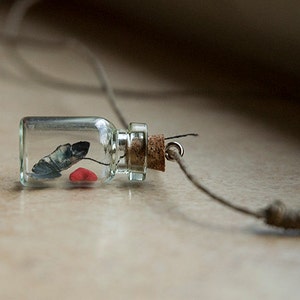 Jim Morrison Asleep in a Tiny Bottle Pendant