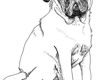 パグ - 色鉛筆画プリント - 犬のイラスト - アーティスト Gary Tymon