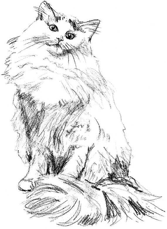 Turkish Van Cat Umbrella Turkish Van Cat Umbrella
