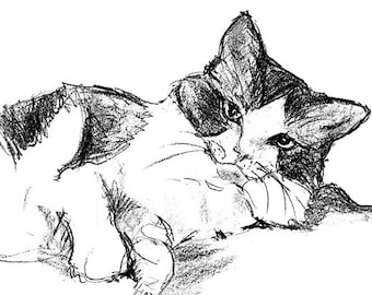 May include: A black and white cat with a patch of white fur on its chest is lying down and looking at the camera. The cat's fur is drawn in a realistic style with shading and texture.