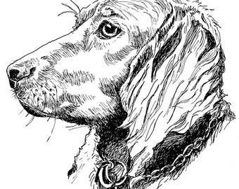 Irish Setter Dog Illustration Black/White Print