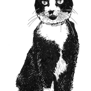 The Clinton Family Cat, &quot;Socks&quot; Black/White Drawing Print