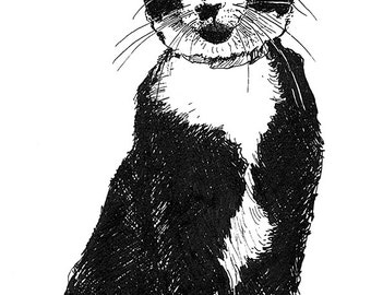 May include: Black and white illustration of a cat sitting with its paws tucked under its body. The cat has a white patch on its chest and a white stripe on its face.