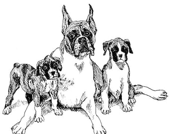 Boxer and Pups Dog Breed Black/White Print