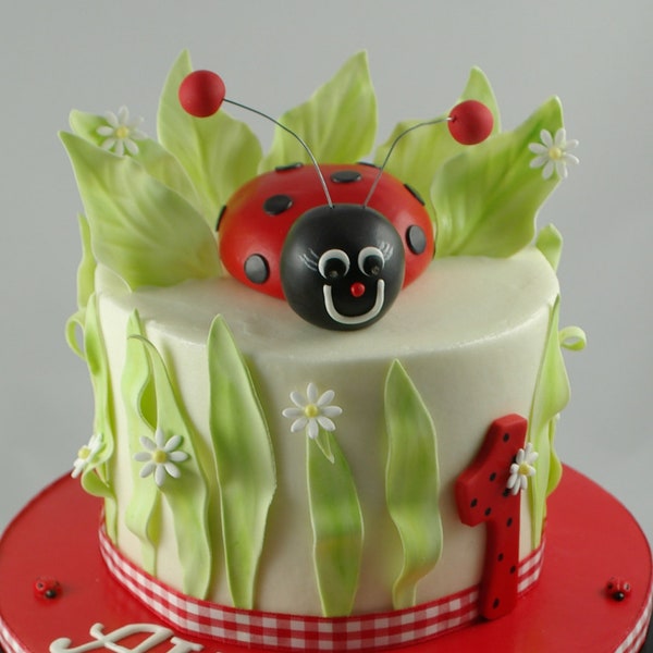 Garden Party Birthday Edible Fondant Lady Bug Cake Topper